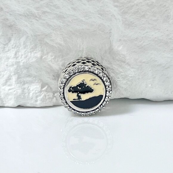 Pandora Aruba Exclusive Bead Charm S925 Silver Charm - Picture 1 of 3